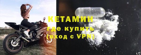 сатива Кукмор