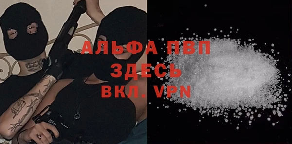 мет Алексин