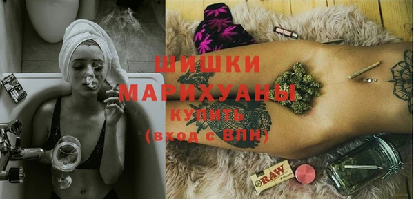 сатива Кукмор