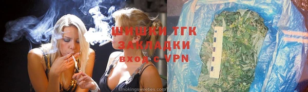мет Алексин