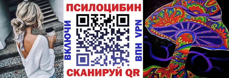 купить закладку  ОМГ ОМГ ONION  Псилоцибиновые грибы MAGIC MUSHROOMS  площадка клад  Александровск-Сахалинский 